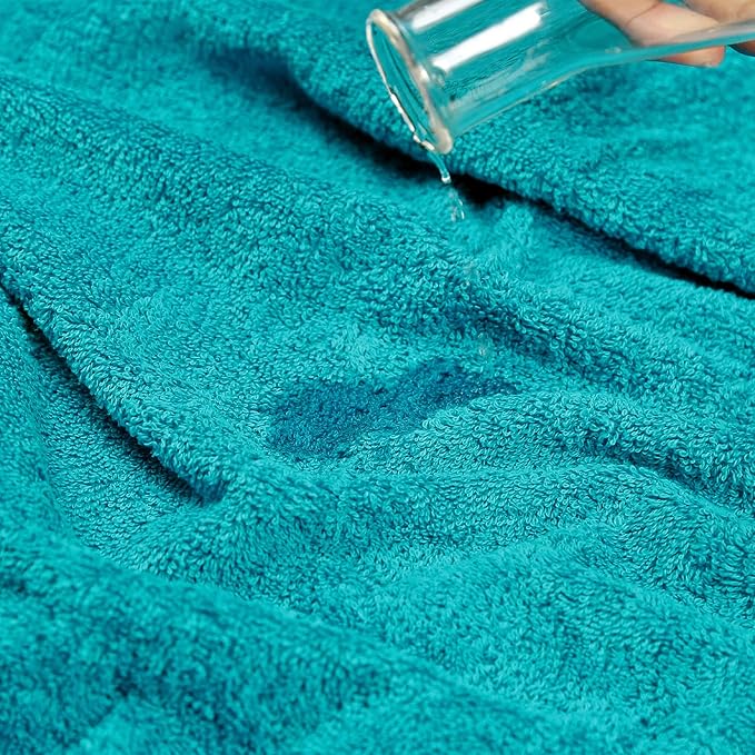4-Piece Trident Hand Towel Set