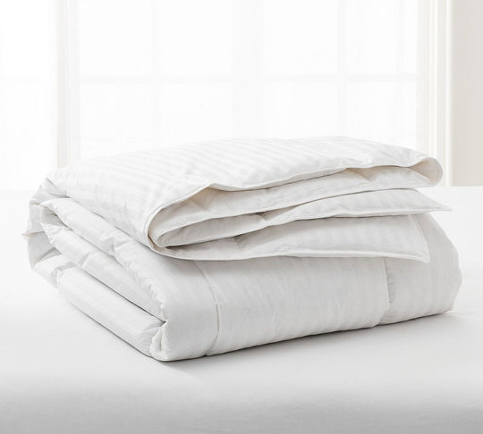 Pottery Barn Luxury 700FP European White Goose Down Duvet Insert